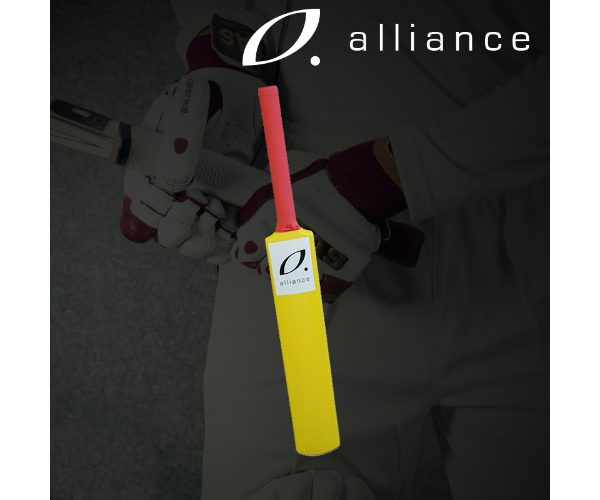 MODIFIED CRICKET BAT MEDIUM WEIGHT